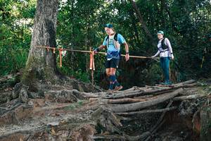 BIB: 
                            <button type="button" onclick="openModal(27755836)" class="btn btn-primary btn-sm float-right btn-popup" data-toggle="modal" data-target=".modal-high-quality">
                        <i class="fas fa-shopping-cart"></i> Add to Cart
                    </button>
                                            <button type="button" onclick="isThisMe(27755836, true)" class="btn btn-success btn-sm float-right btn-popup btn-isme hidden" data-toggle="tooltip" data-placement="bottom" title="นี่คือรูปของคุณใช่ไหม คลิกที่นี่เพื่อเอาเข้าอัลบั้ม">
                        <i class="fas fa-plus"></i> Add to album
                    </button>
                    <button type="button" onclick="isThisMe(27755836, false)" class="btn btn-warning btn-sm float-right btn-popup btn-isnotme hidden">
                        <i class="fas fa-ban"></i> Remove from album
                    </button>